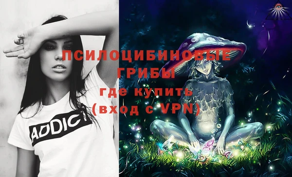 твердый Гусиноозёрск