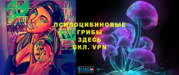 твердый Гусиноозёрск