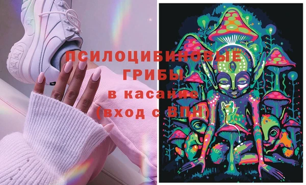 твердый Гусиноозёрск