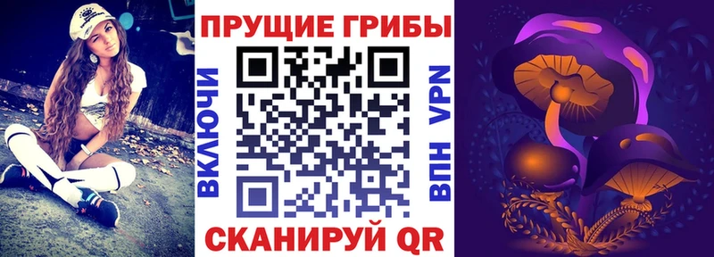 где продают Киренск mega вход Галлюциногенные грибы GOLDEN TEACHER